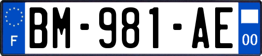 BM-981-AE