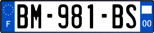 BM-981-BS