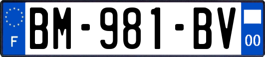 BM-981-BV