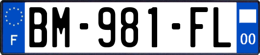 BM-981-FL