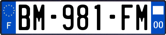 BM-981-FM