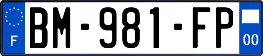 BM-981-FP