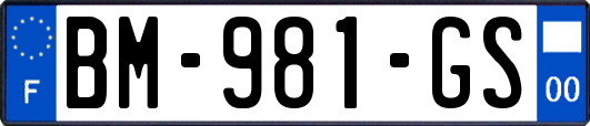 BM-981-GS