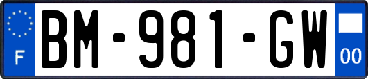 BM-981-GW