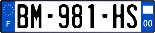 BM-981-HS