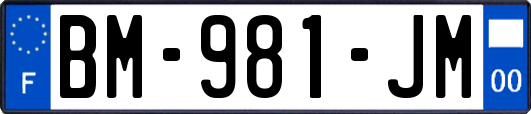 BM-981-JM