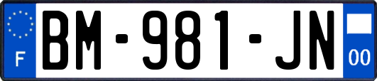 BM-981-JN