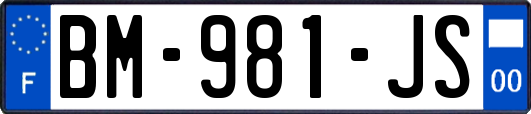BM-981-JS