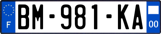 BM-981-KA