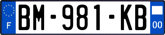 BM-981-KB