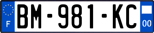 BM-981-KC