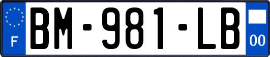 BM-981-LB