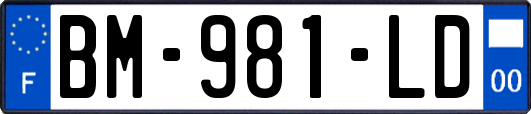 BM-981-LD