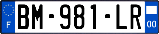 BM-981-LR