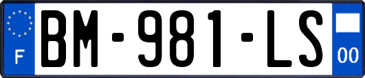 BM-981-LS