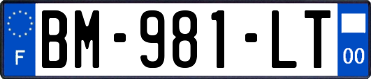 BM-981-LT