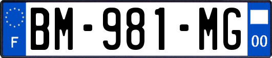 BM-981-MG