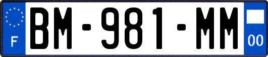 BM-981-MM