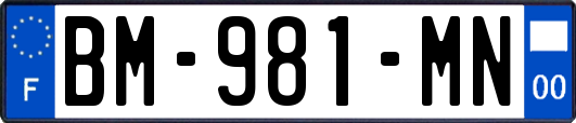 BM-981-MN