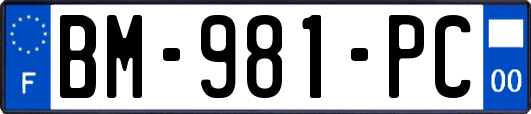 BM-981-PC