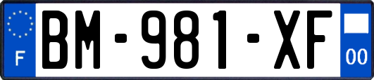 BM-981-XF