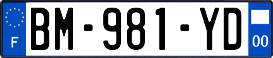 BM-981-YD