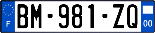 BM-981-ZQ