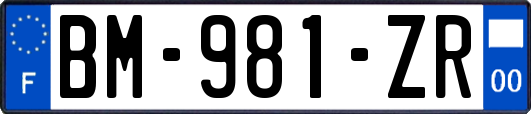 BM-981-ZR