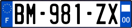 BM-981-ZX