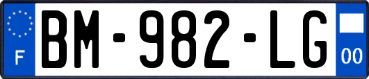 BM-982-LG