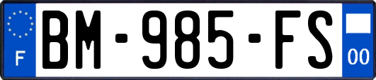 BM-985-FS