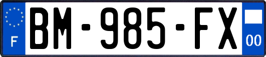 BM-985-FX