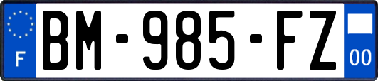 BM-985-FZ