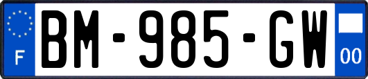 BM-985-GW