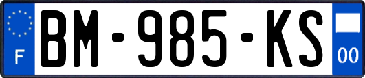 BM-985-KS