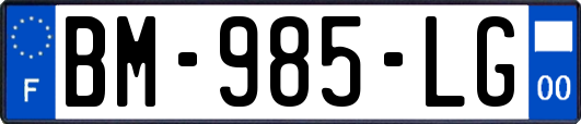 BM-985-LG