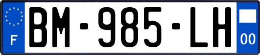 BM-985-LH