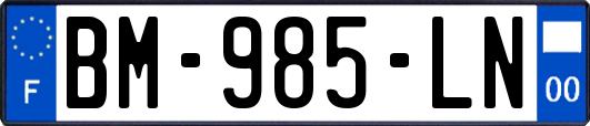 BM-985-LN