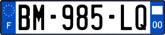 BM-985-LQ