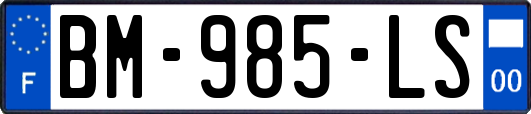 BM-985-LS