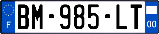 BM-985-LT