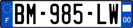 BM-985-LW