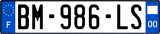 BM-986-LS