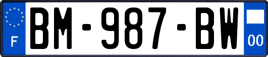 BM-987-BW