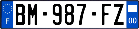 BM-987-FZ