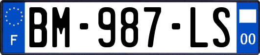 BM-987-LS