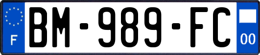 BM-989-FC