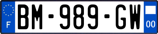 BM-989-GW