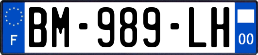 BM-989-LH