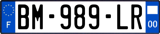 BM-989-LR